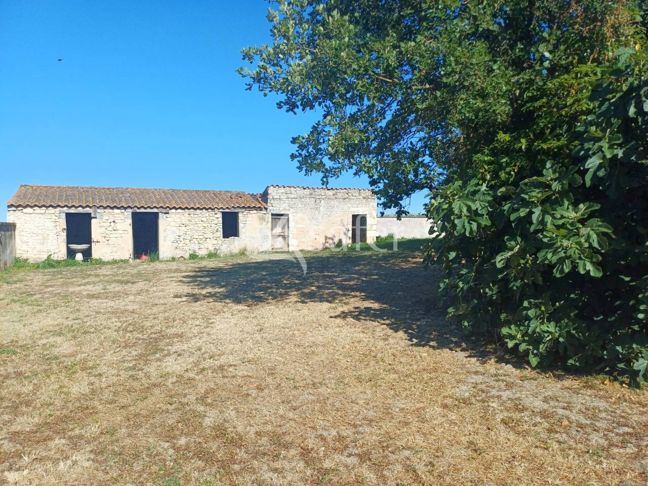 Explotaci&oacute;n agr&iacute;cola En venta Charente Mar&iacute;timo