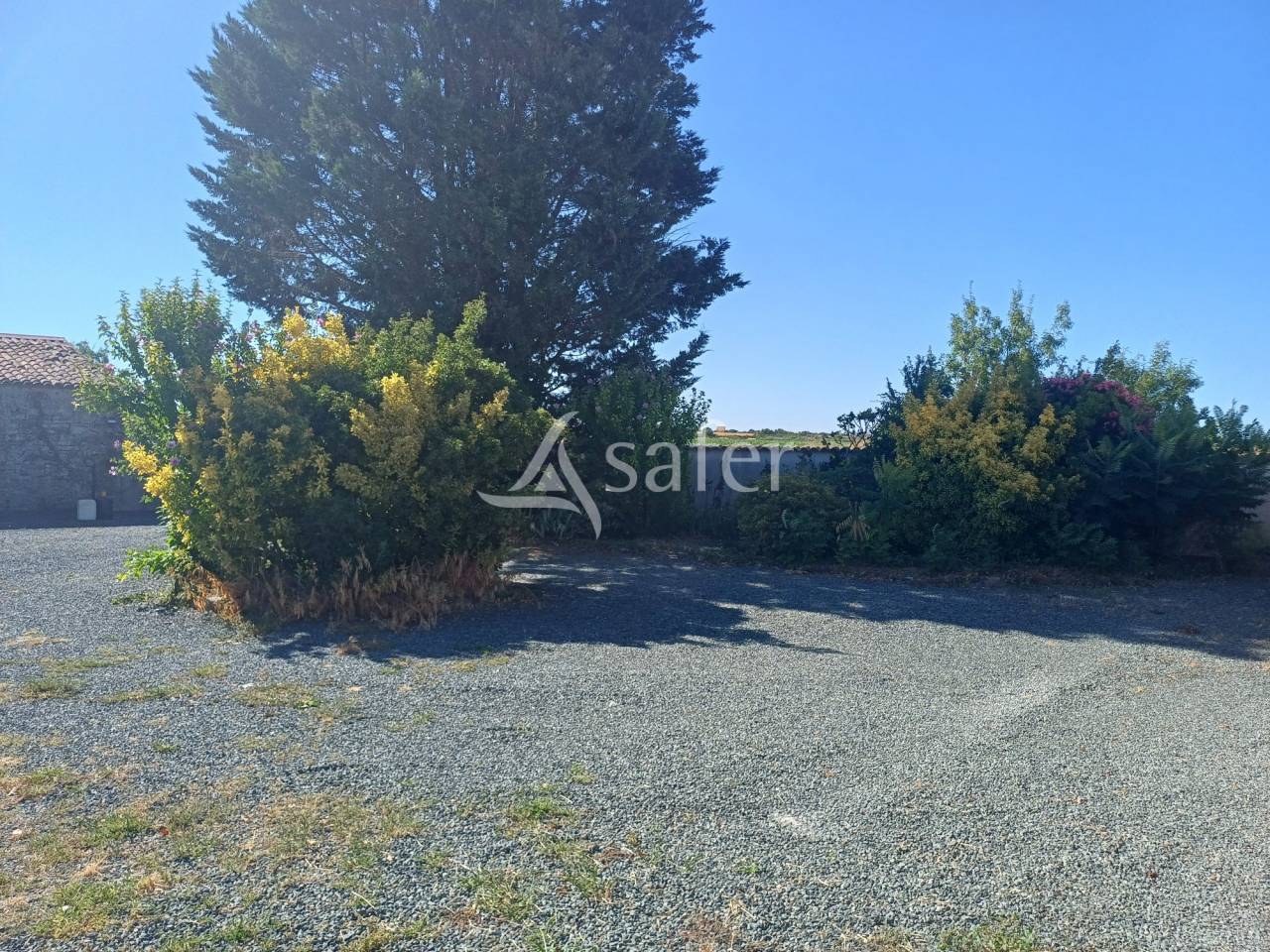 Explotaci&oacute;n agr&iacute;cola En venta Charente Mar&iacute;timo