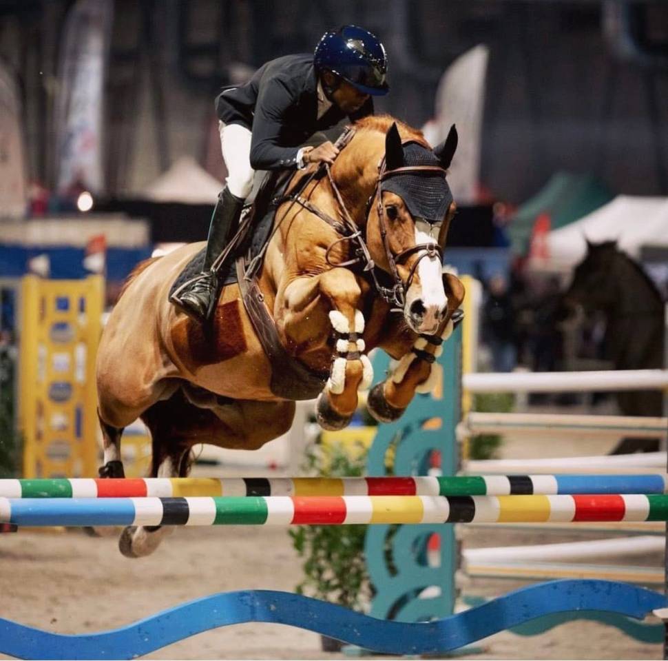 Caballo entero Silla Franc&eacute;s En venta 2017 Alaz&aacute;n por Intouchable 27