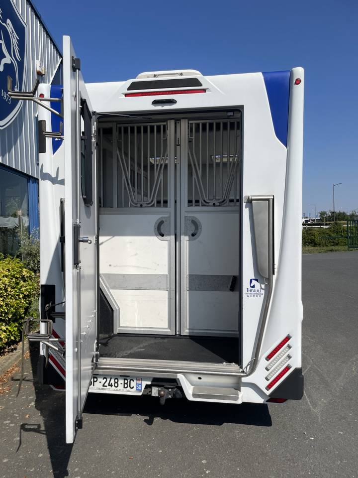 Furgoneta para caballos Theault master 2023 De segunda mano