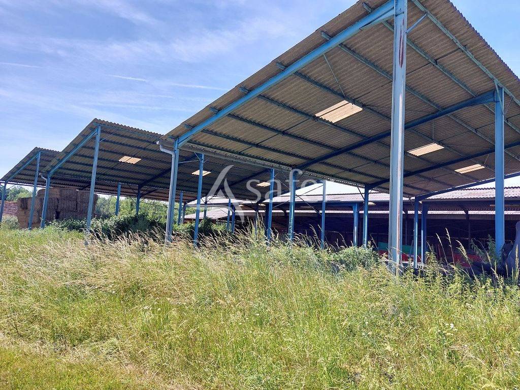 Explotaci&oacute;n ovina En venta Corr&egrave;ze