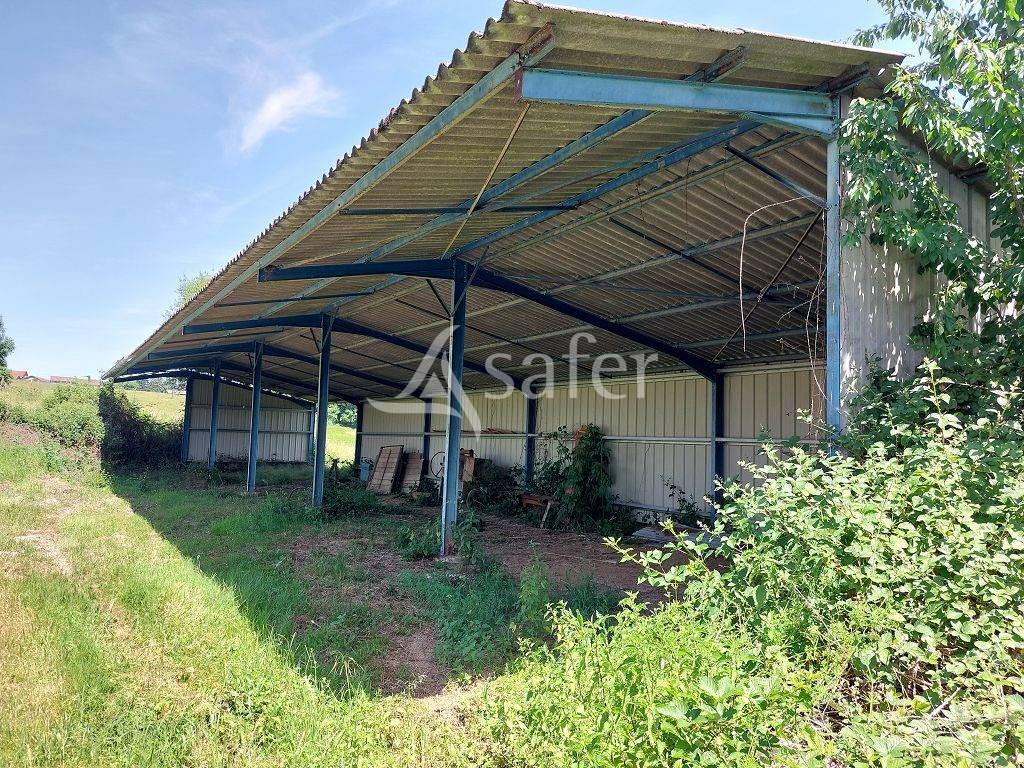Explotaci&oacute;n ovina En venta Corr&egrave;ze