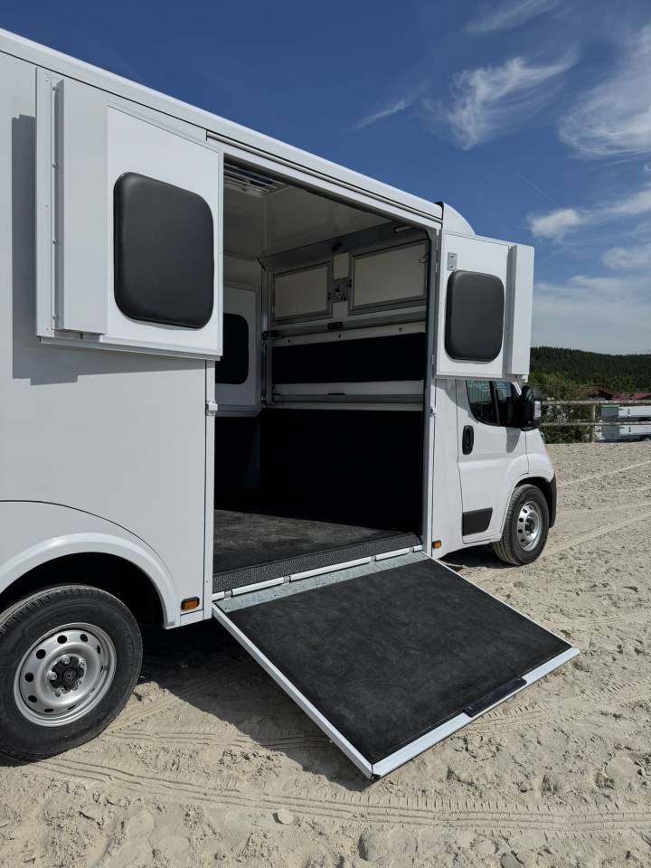 Furgoneta para caballos Cavalcar Stallium 3 2025 Nuevo
