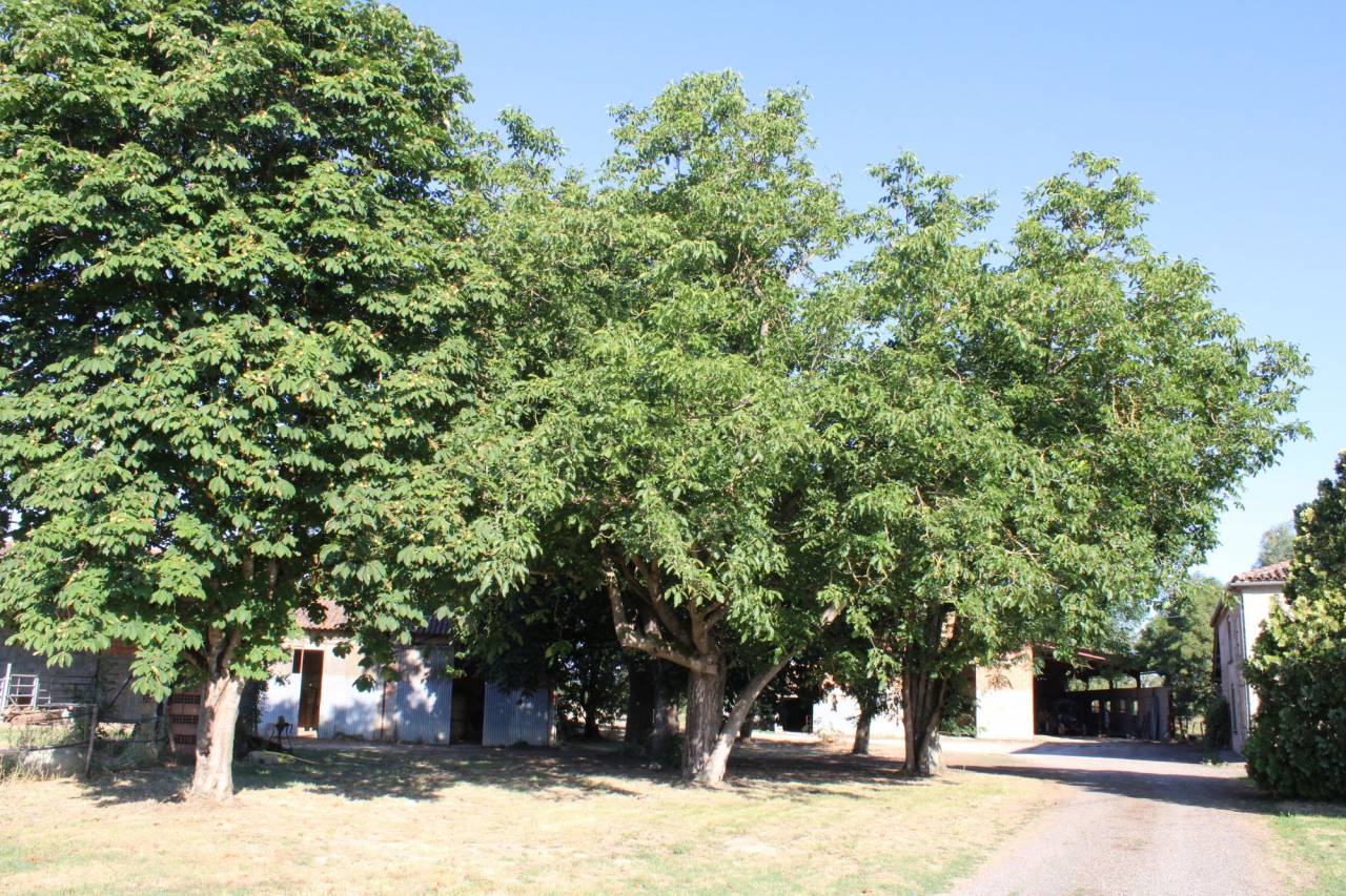 Propiedad ecuestre En venta Tarn y Garona