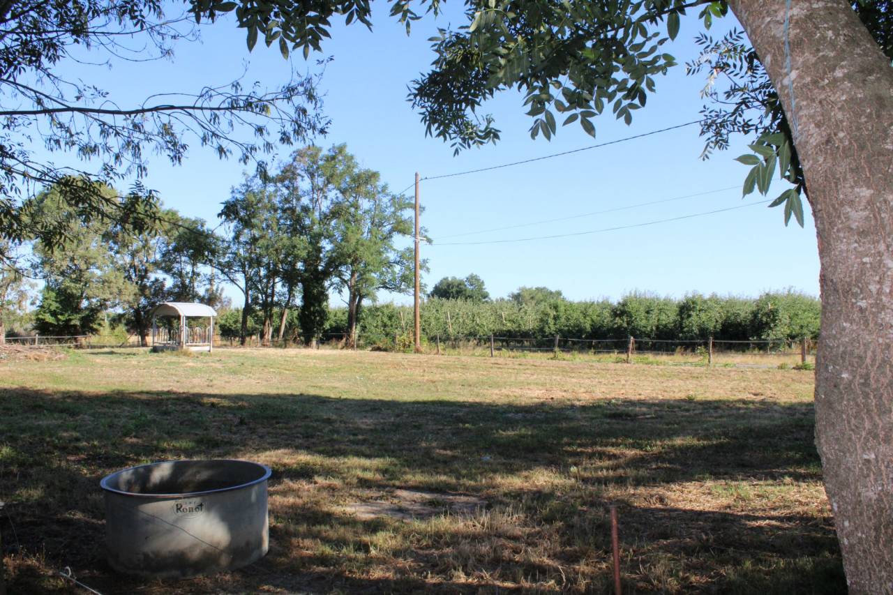 Propiedad ecuestre En venta Tarn y Garona