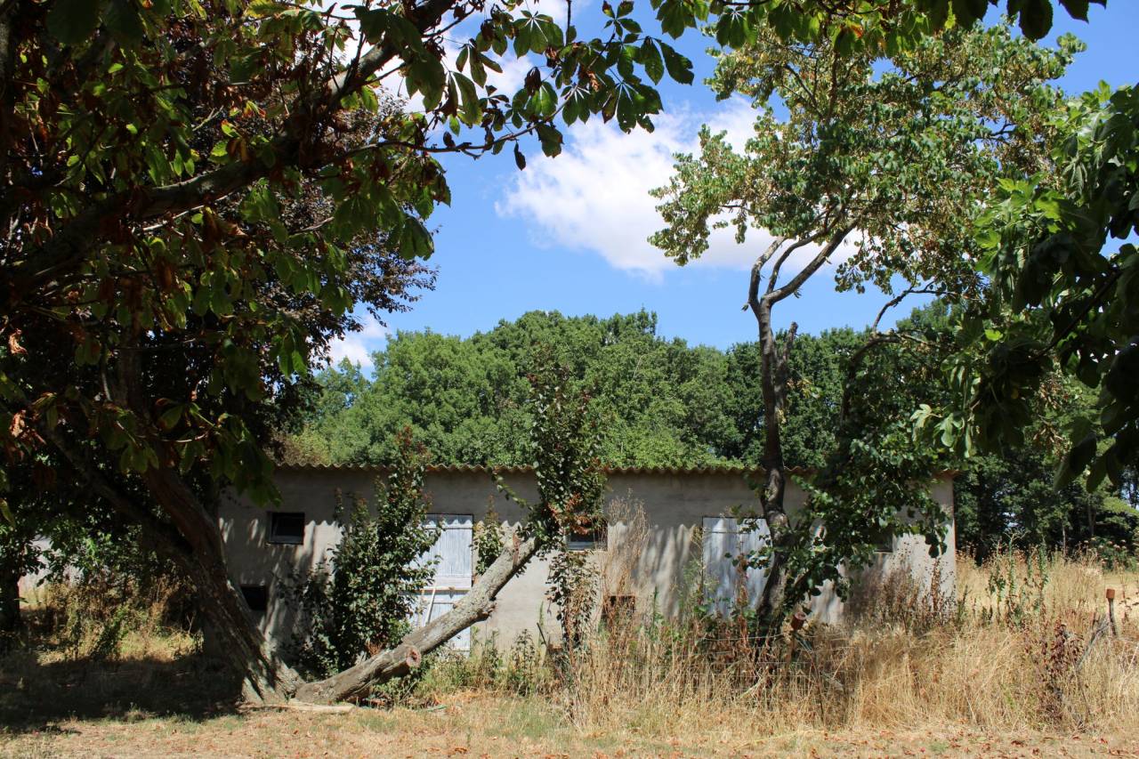 Propiedad ecuestre En venta Alto Garona
