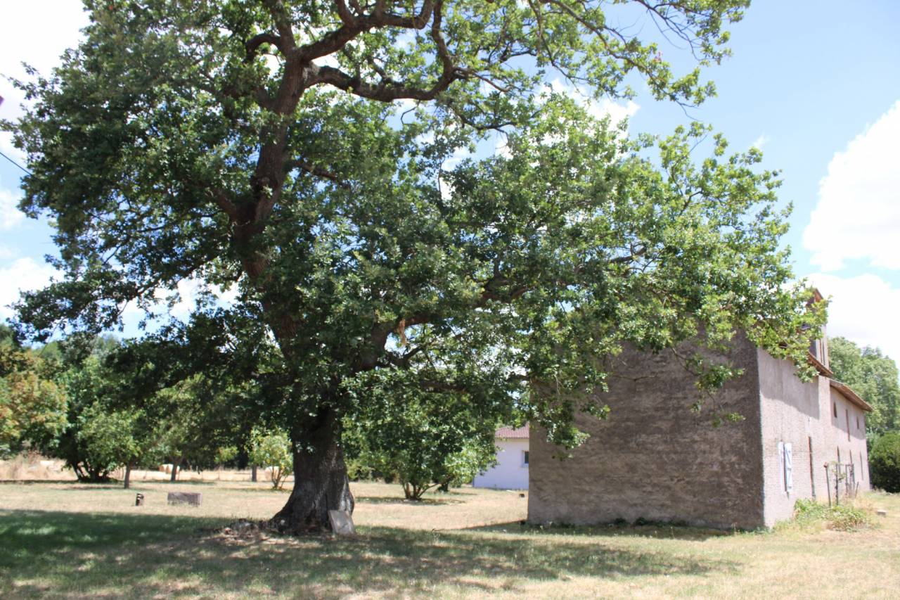Propiedad ecuestre En venta Alto Garona
