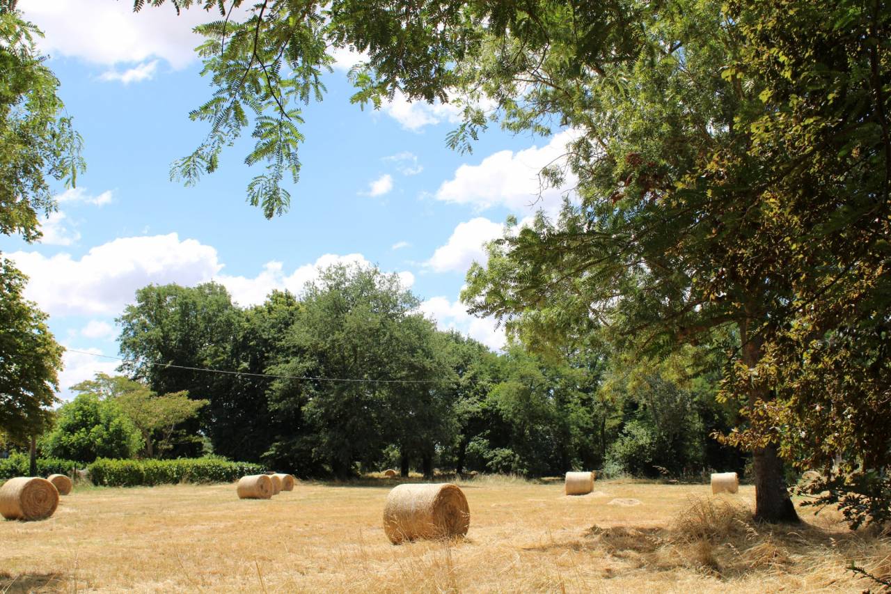 Propiedad ecuestre En venta Alto Garona