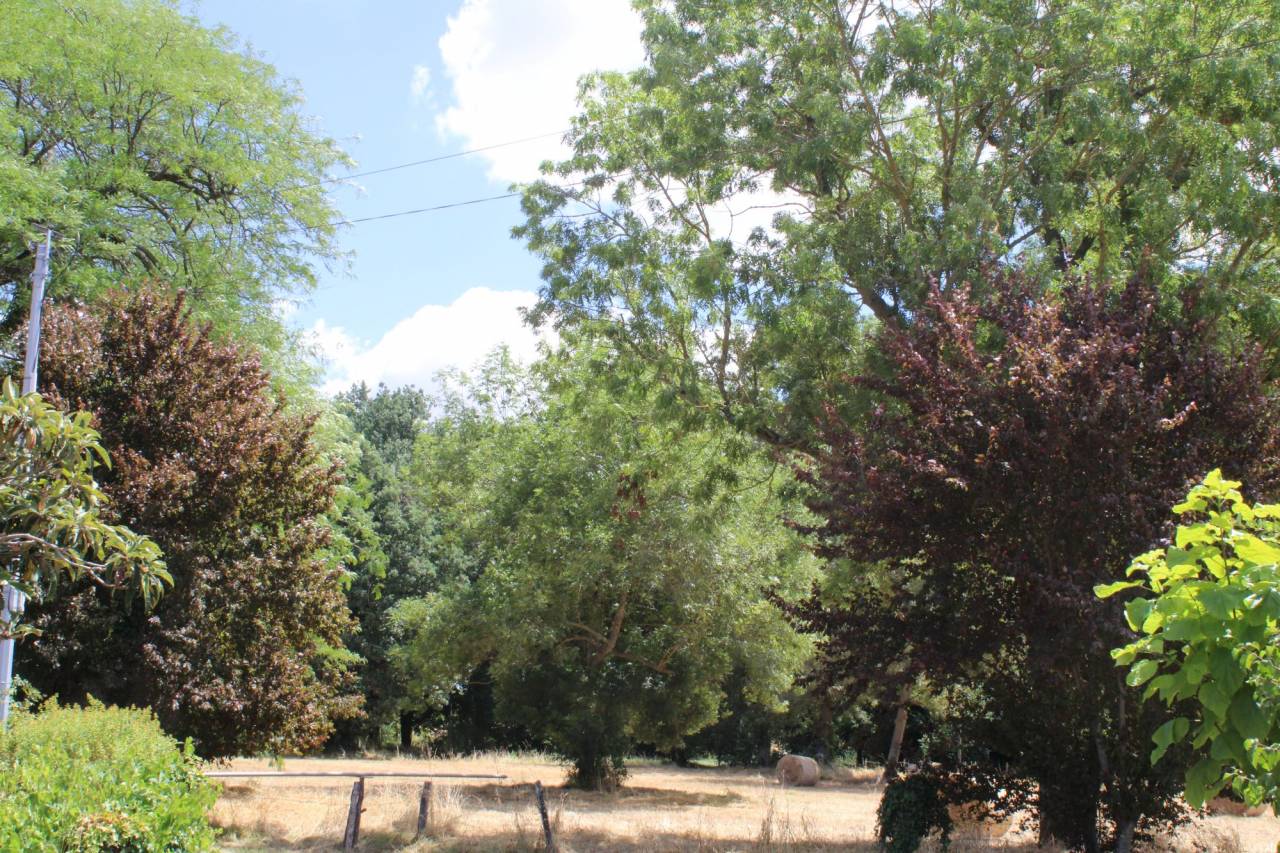 Propiedad ecuestre En venta Alto Garona