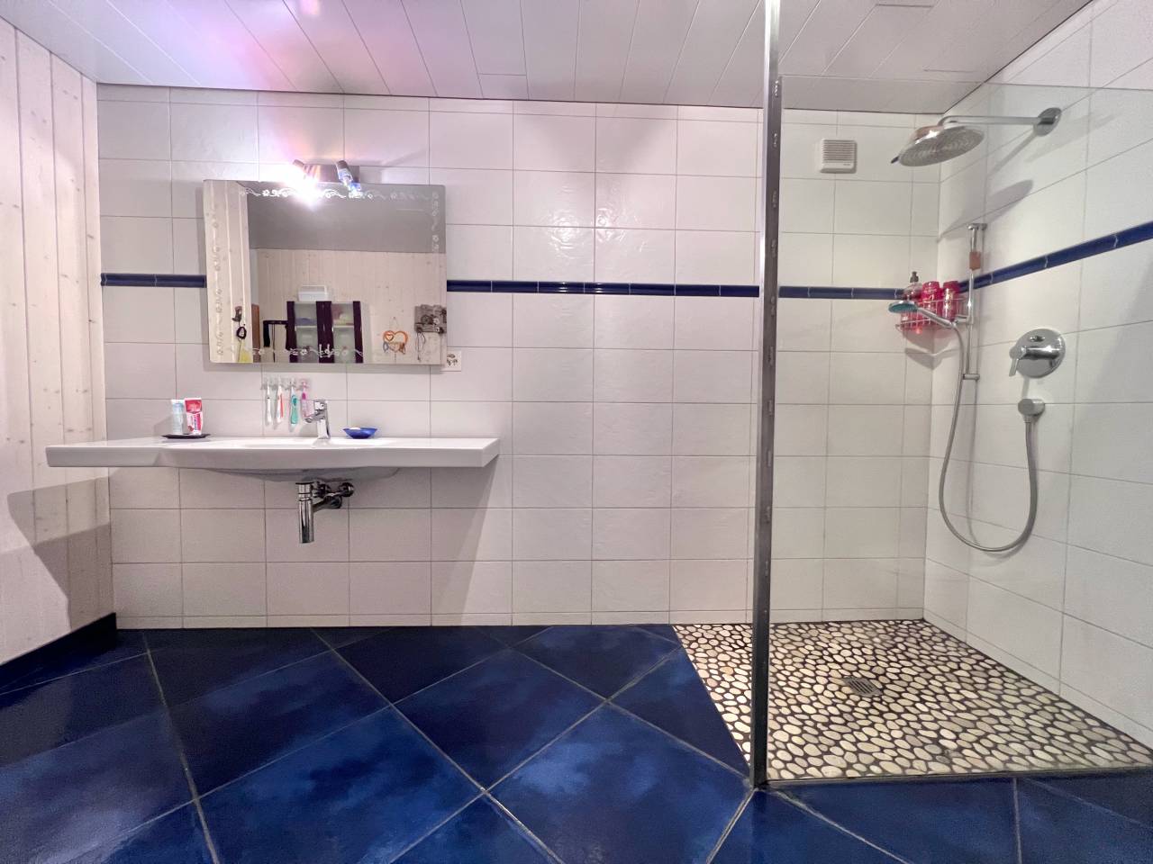 Granja ecuestre En venta Neuch&acirc;tel
