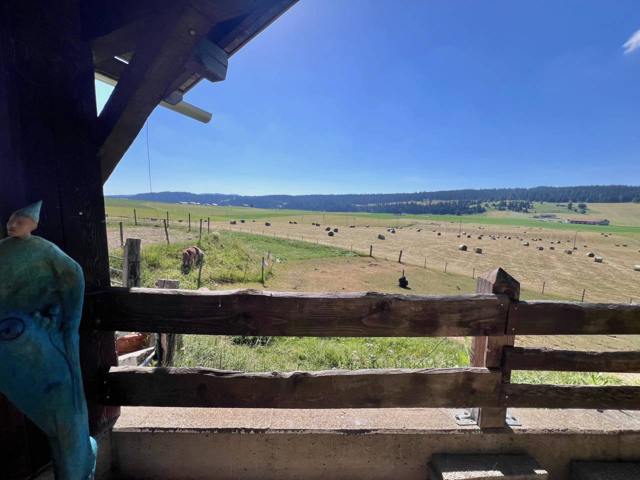 Granja ecuestre En venta Neuch&acirc;tel