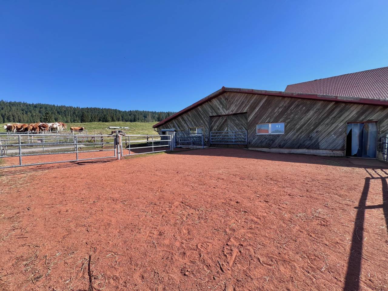 Granja ecuestre En venta Neuch&acirc;tel