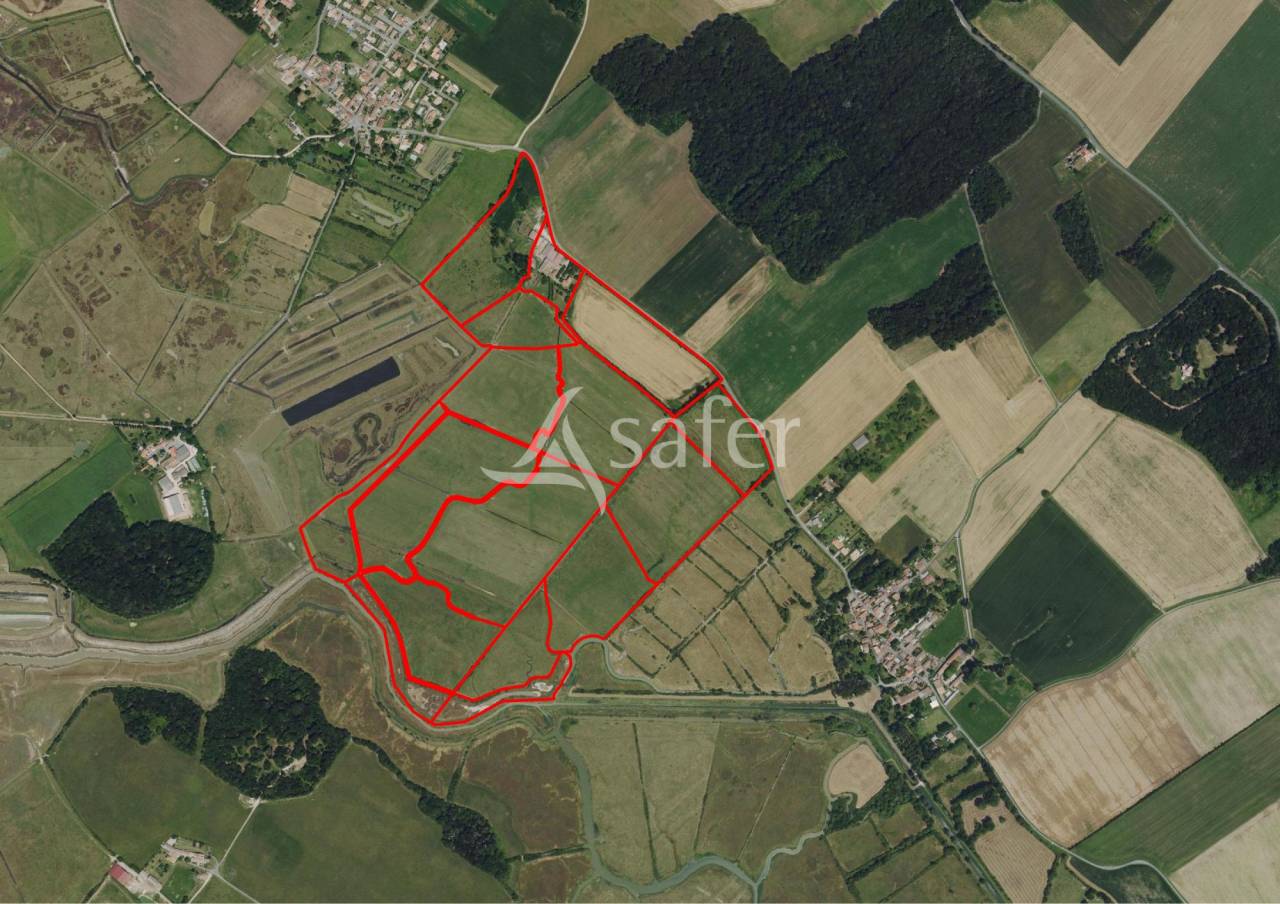 Explotaci&oacute;n agr&iacute;cola En venta Charente Mar&iacute;timo