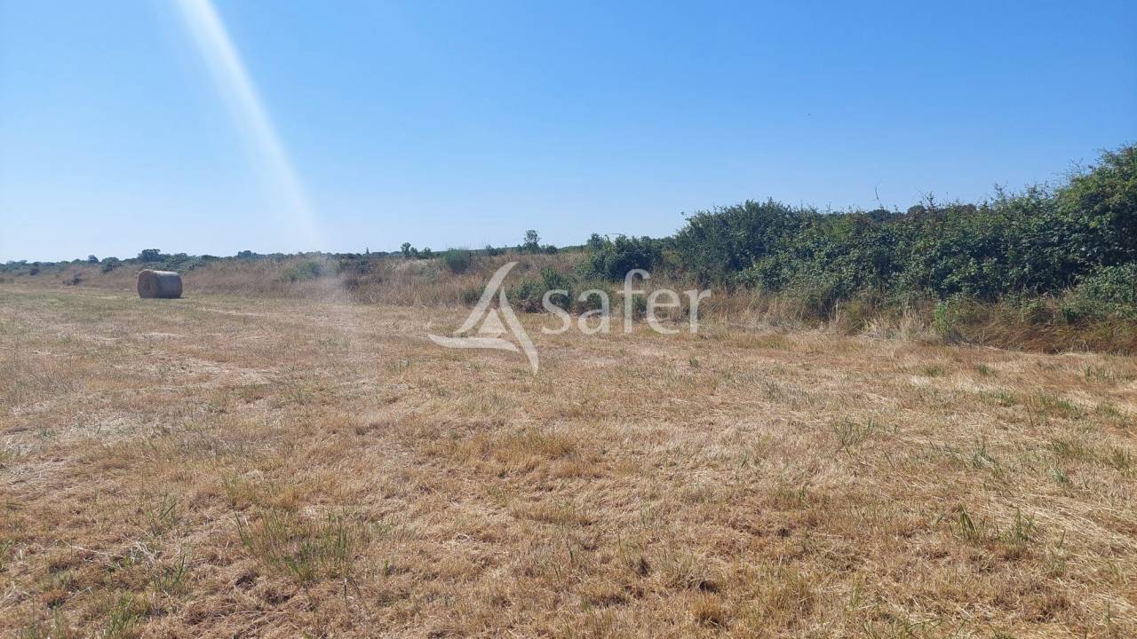 Explotaci&oacute;n agr&iacute;cola En venta Charente Mar&iacute;timo