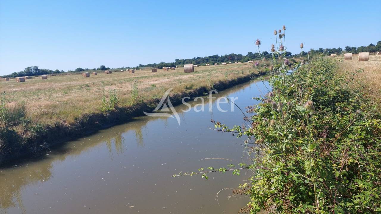 Explotaci&oacute;n agr&iacute;cola En venta Charente Mar&iacute;timo