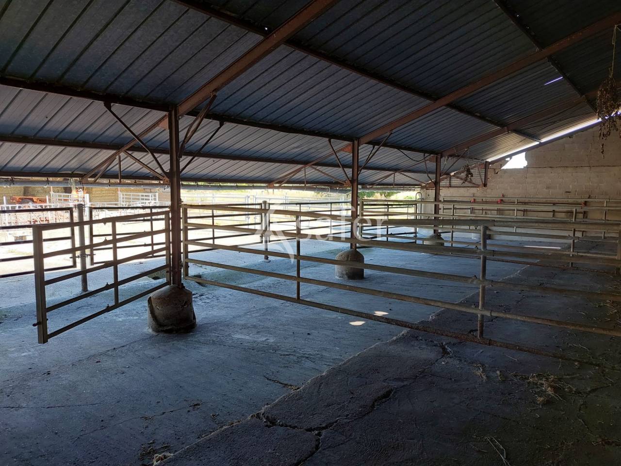 Explotaci&oacute;n agr&iacute;cola En venta Charente Mar&iacute;timo