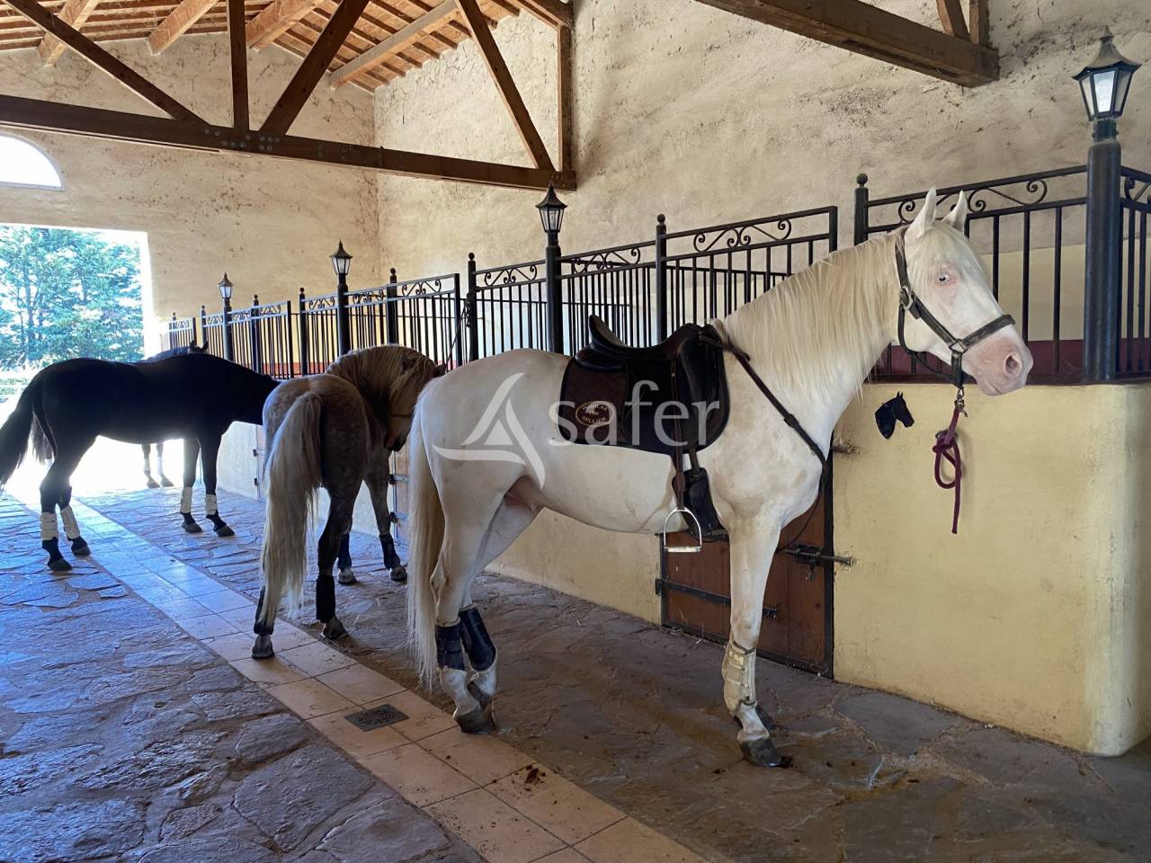 Propiedad ecuestre En venta H&eacute;rault