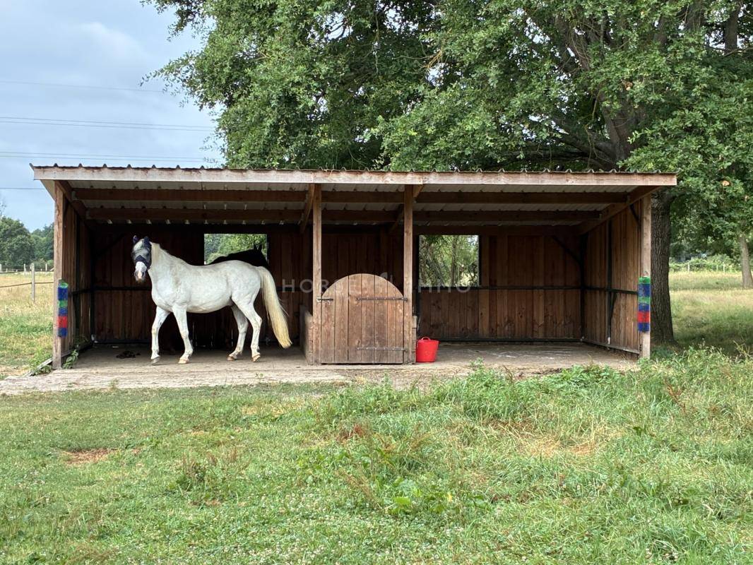 Propiedad ecuestre En venta Sarthe