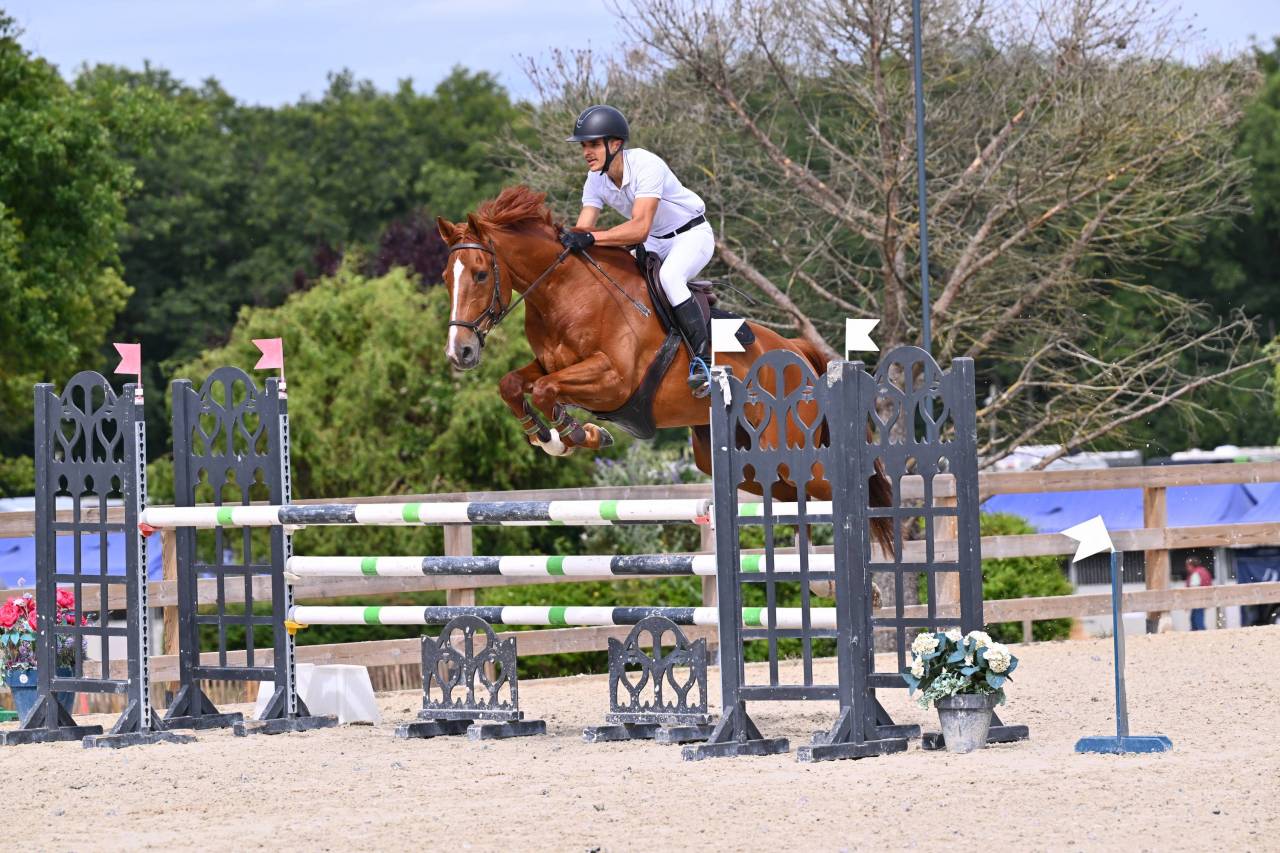 Caballo castrado Silla Franc&eacute;s En venta 2020 Alaz&aacute;n