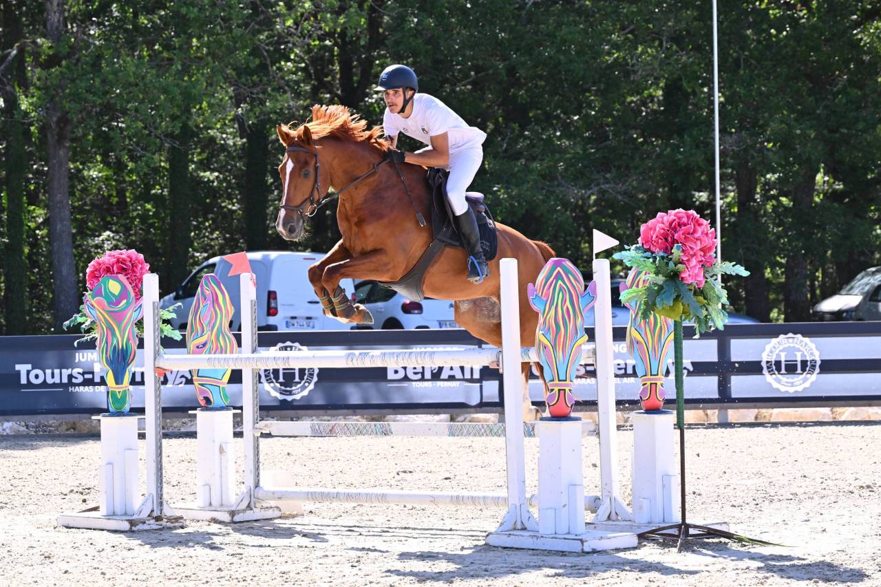 Caballo castrado Silla Franc&eacute;s En venta 2020 Alaz&aacute;n