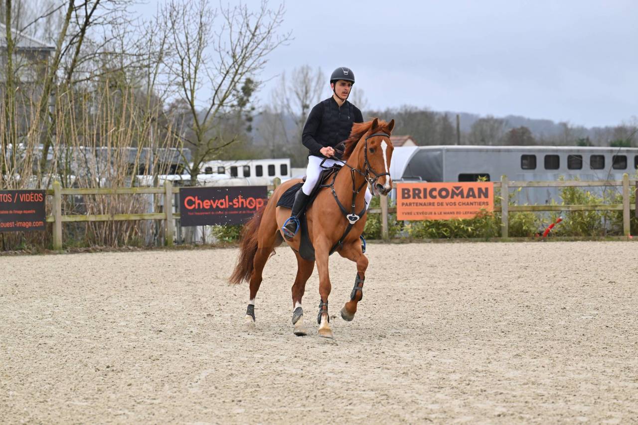 Caballo castrado Silla Franc&eacute;s En venta 2020 Alaz&aacute;n