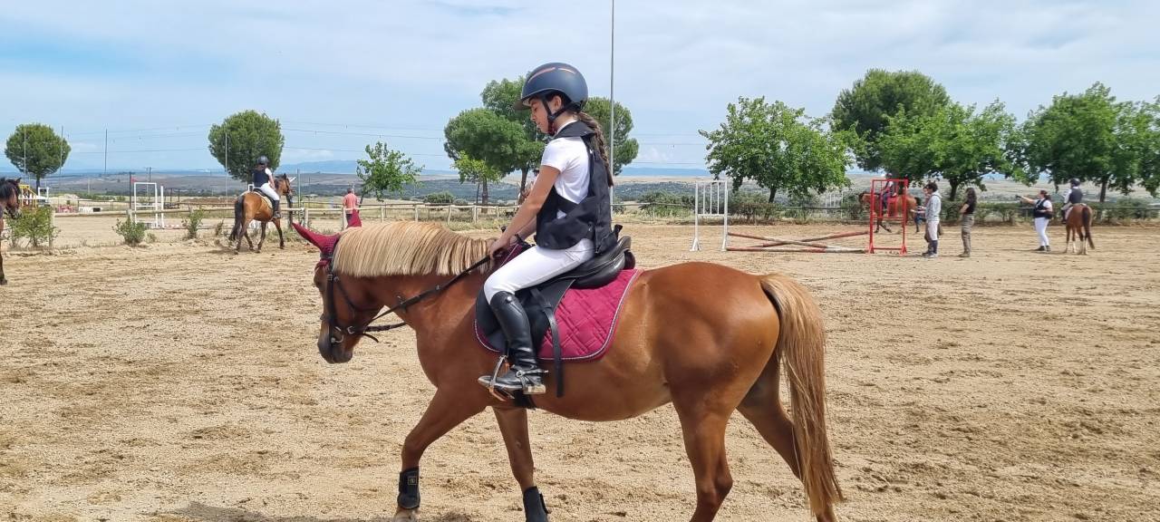 Se vende poni B