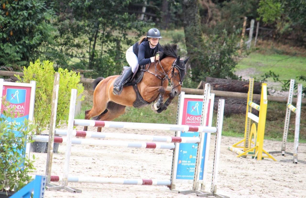Caballo castrado PFS Poni Fran&ccedil;&eacute;s de Silla En venta 2015 Bayo por QUABAR DES MONCEAUX
