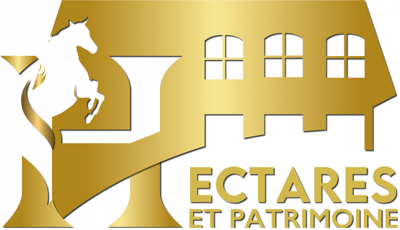 Centro ecuestre En venta Vend&eacute;e