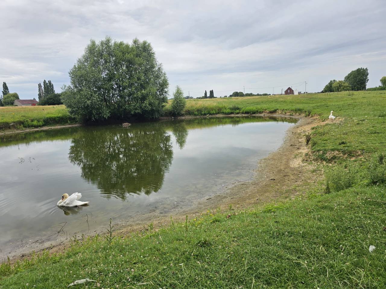 Bonita residencia ecuestre En venta Hainaut