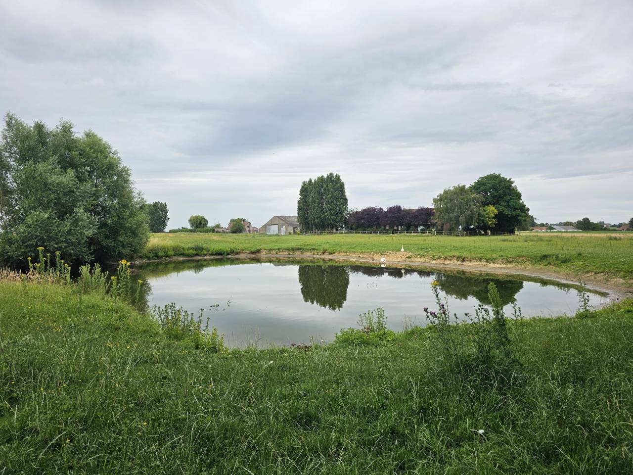 Bonita residencia ecuestre En venta Hainaut