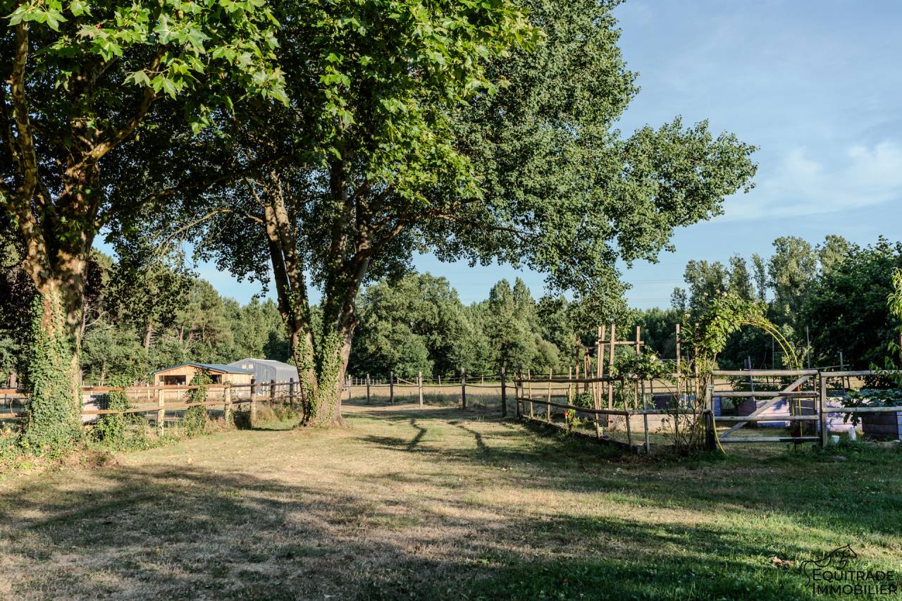Bonita residencia ecuestre En venta Sarthe