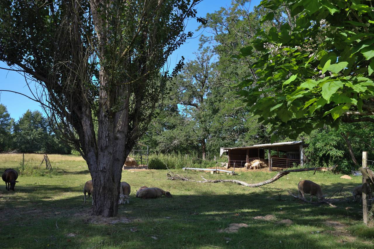 Propiedad ecuestre En venta Gironda