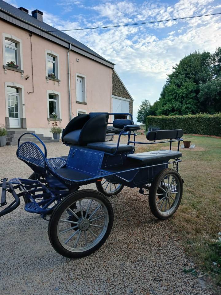 Coche enganches - Calesa   