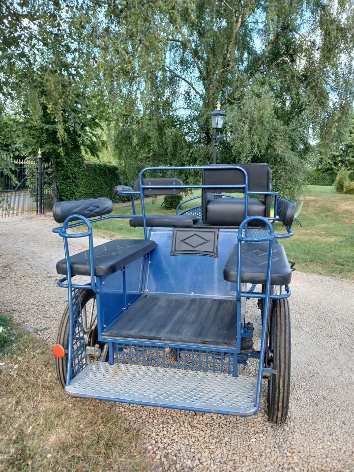Coche enganches - Calesa   