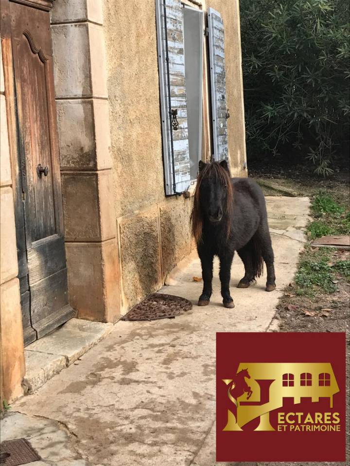 Albergue ecuestre En venta Var