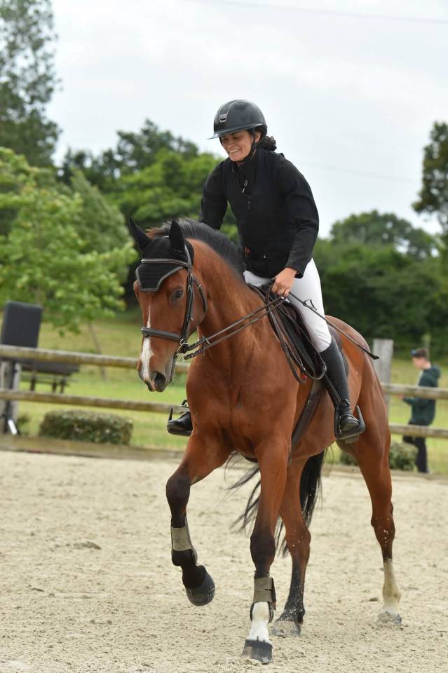 Caballo castrado Silla Franc&eacute;s En venta 2019 Bayo por FETICHE DU PAS
