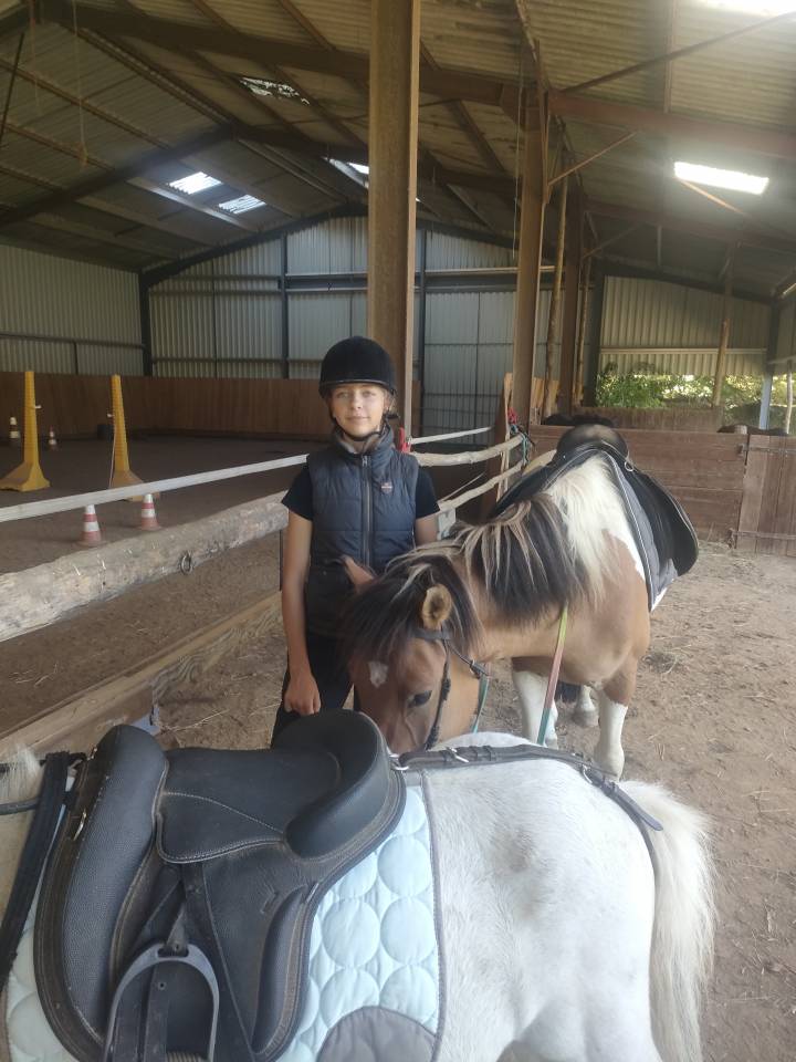 Caballo castrado Origen No Constatado En venta 2018 P&iacute;o