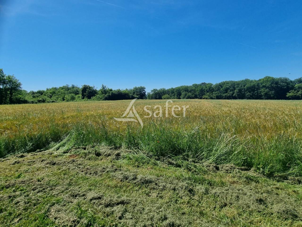 Propiedad rural En venta Lot