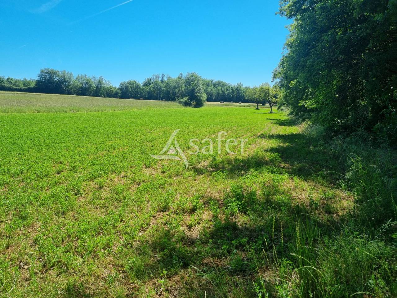 Propiedad rural En venta Lot