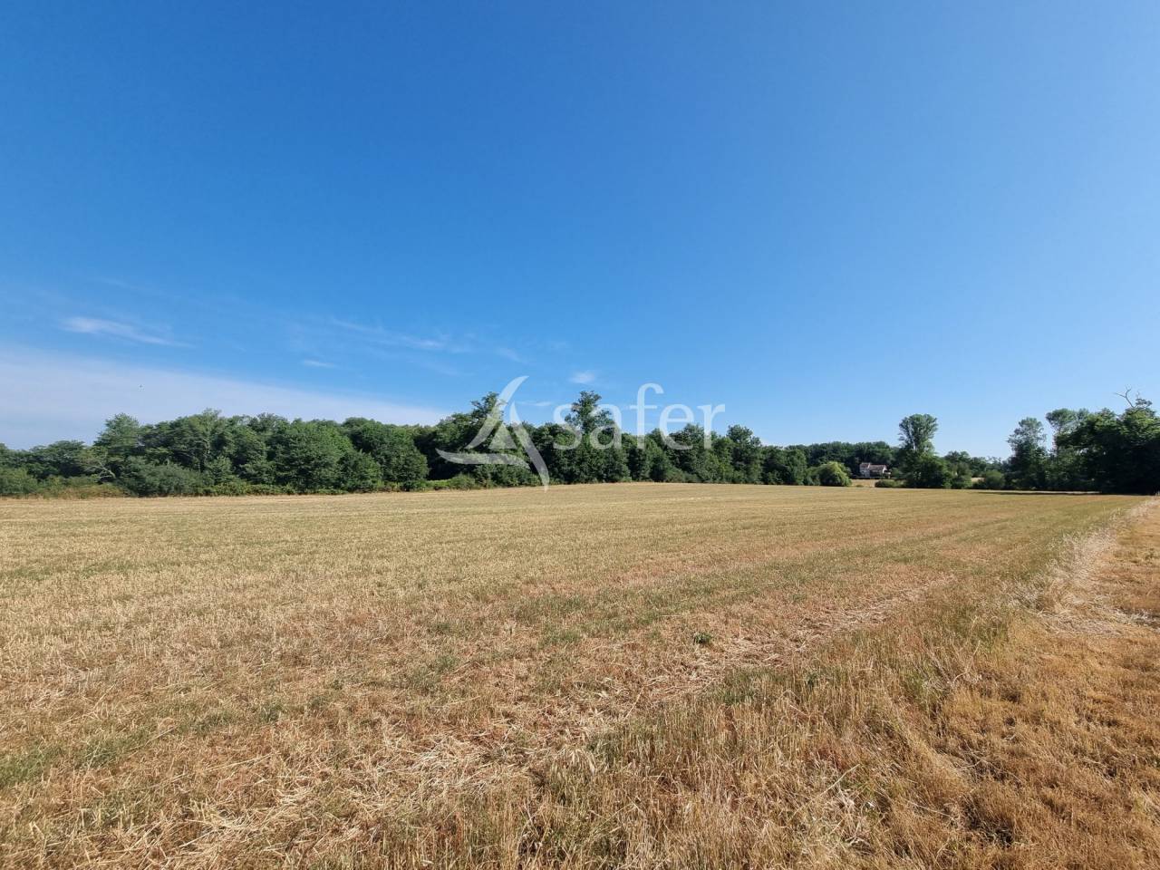Propiedad rural En venta Lot
