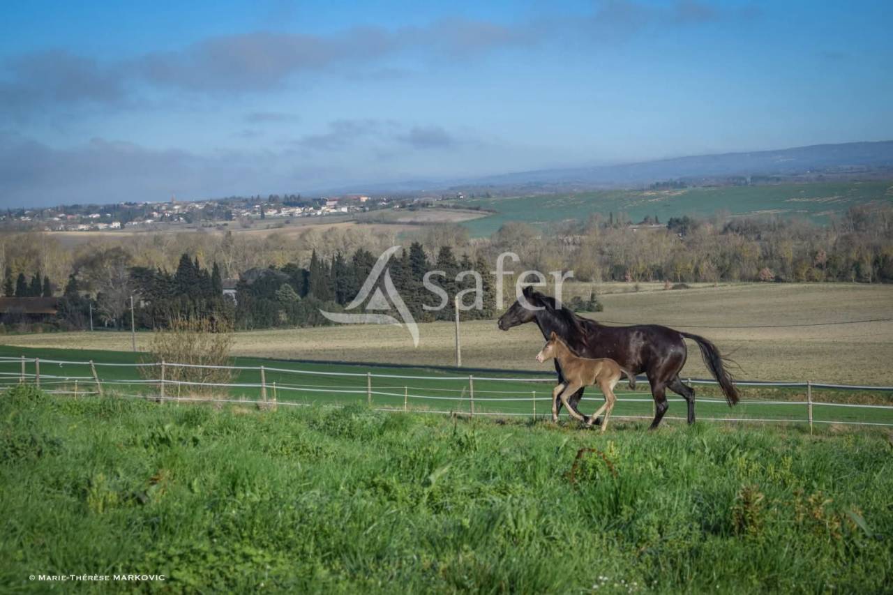 Propiedad ecuestre En venta Aude