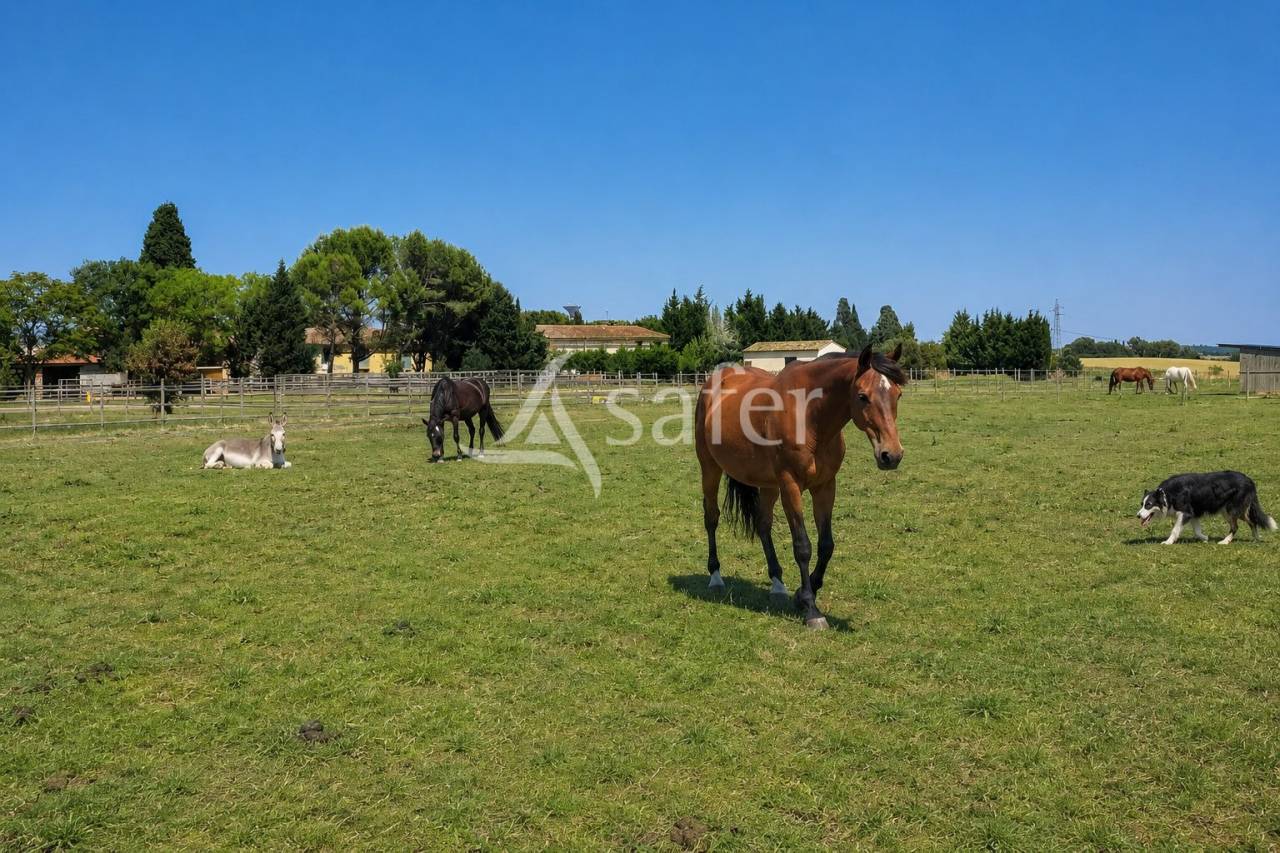 Propiedad ecuestre En venta Aude