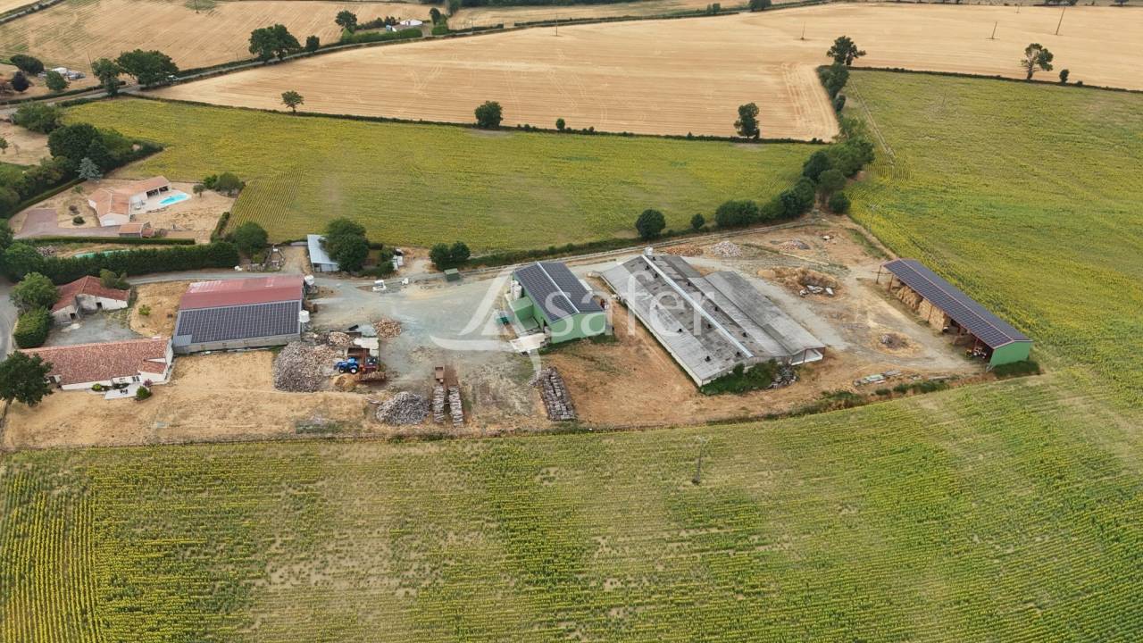 Explotaci&oacute;n porcina En venta Vend&eacute;e