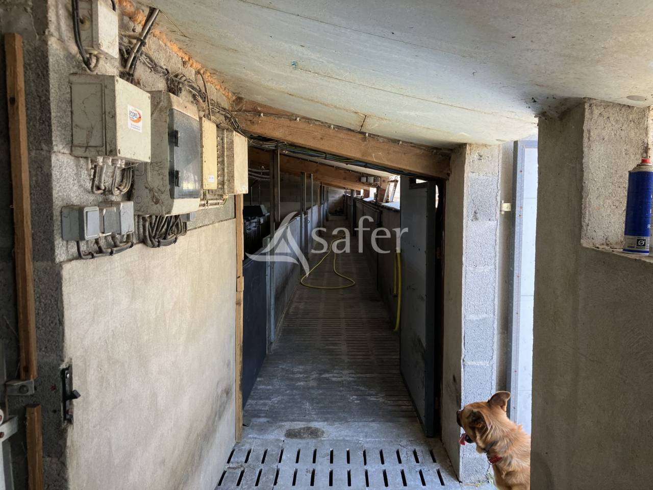 Explotaci&oacute;n porcina En venta Vend&eacute;e