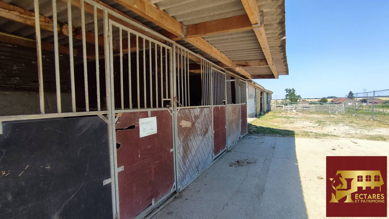 Cuadra de propietarios En venta Saona y Loira