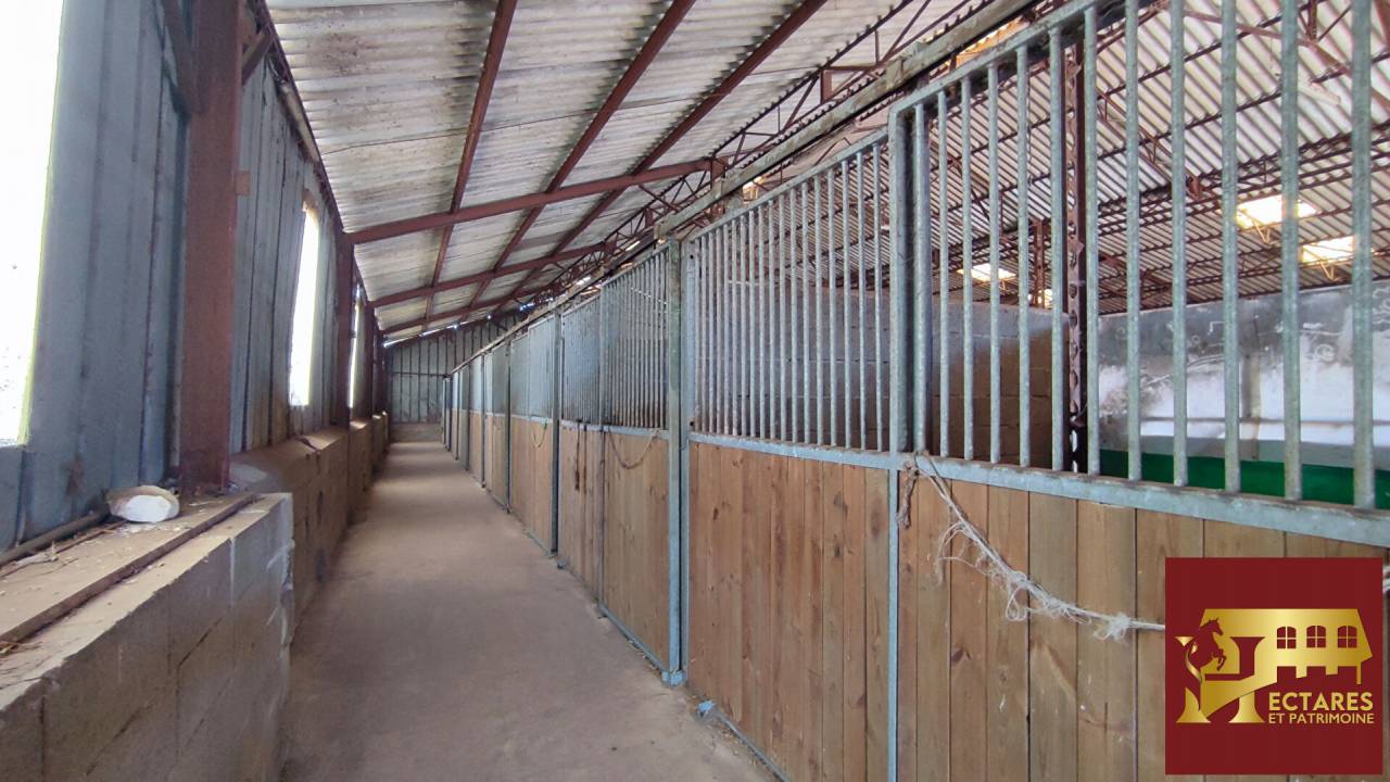 Cuadra de propietarios En venta Saona y Loira