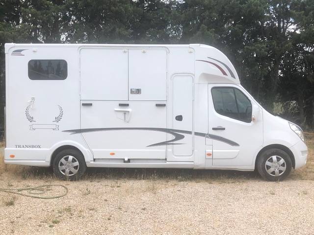 Furgoneta para caballos Trans Box sv 5 2019 De segunda mano