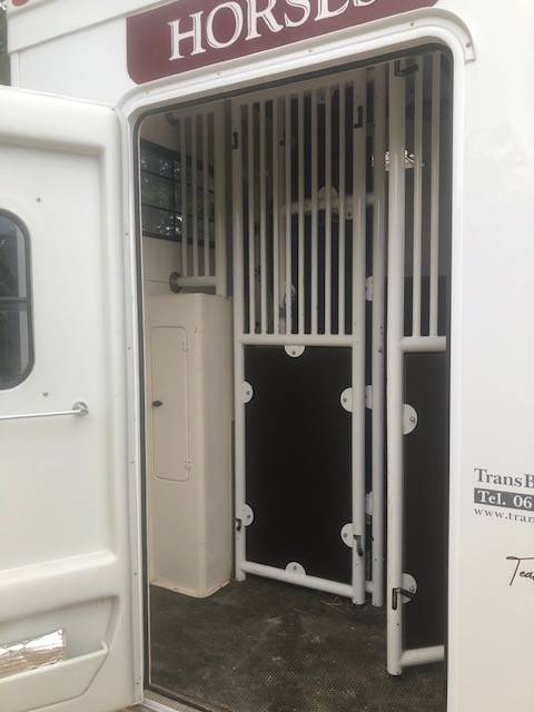 Furgoneta para caballos Trans Box sv 5 2019 De segunda mano