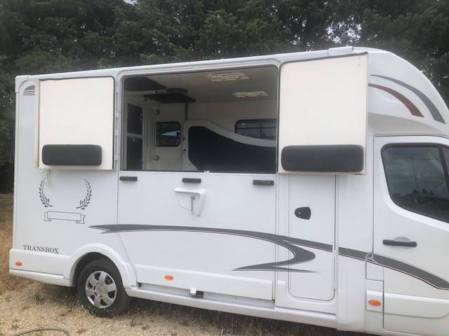 Furgoneta para caballos Trans Box sv 5 2019 De segunda mano