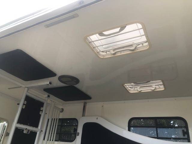 Furgoneta para caballos Trans Box sv 5 2019 De segunda mano